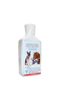 pet care services in chennai